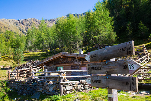 Hiking and mountain pastures in the Schnalstal Valley