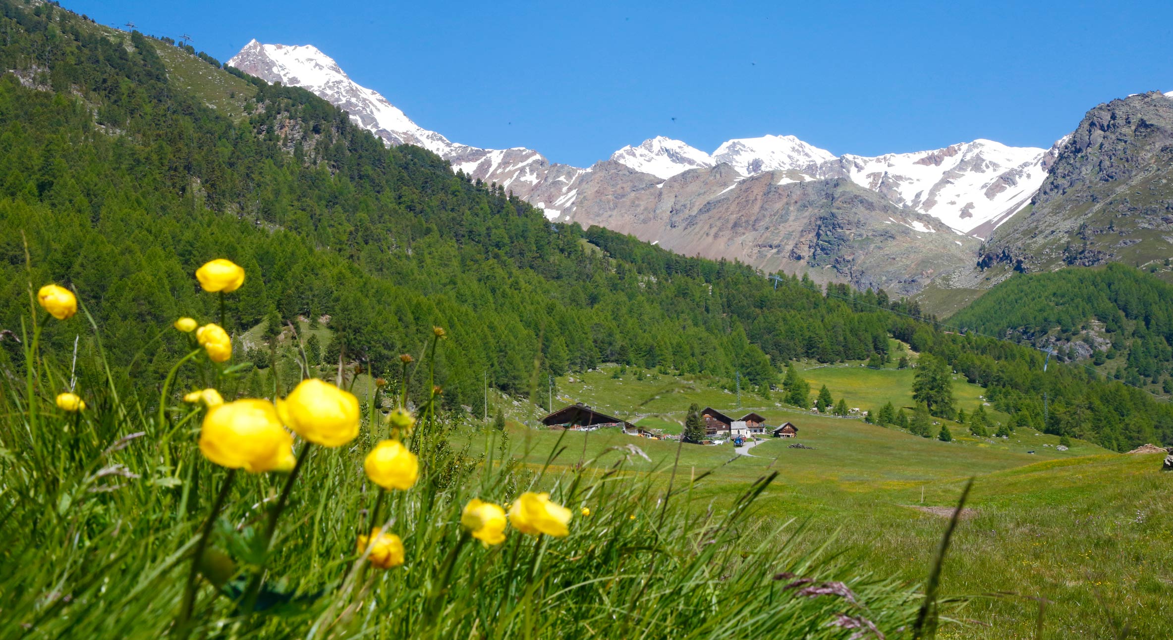 Summer in Val Senales